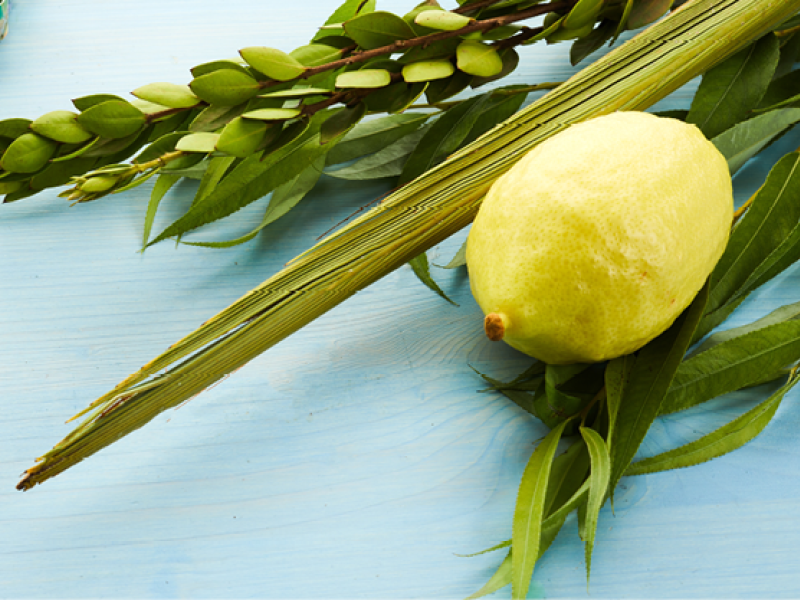 SUKKOT